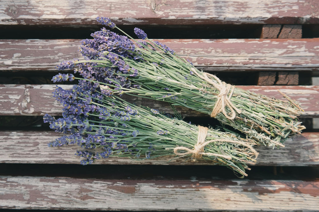 Lavender: Nature's Soothing Secret - Unveiling the Incredible Health Benefits
