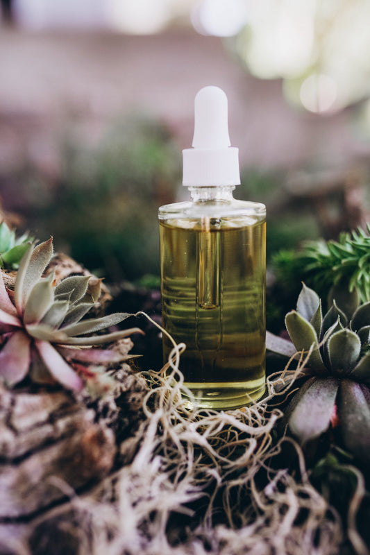 Essential Oils 101: A Beginner's Guide to Harnessing the Power of Nature