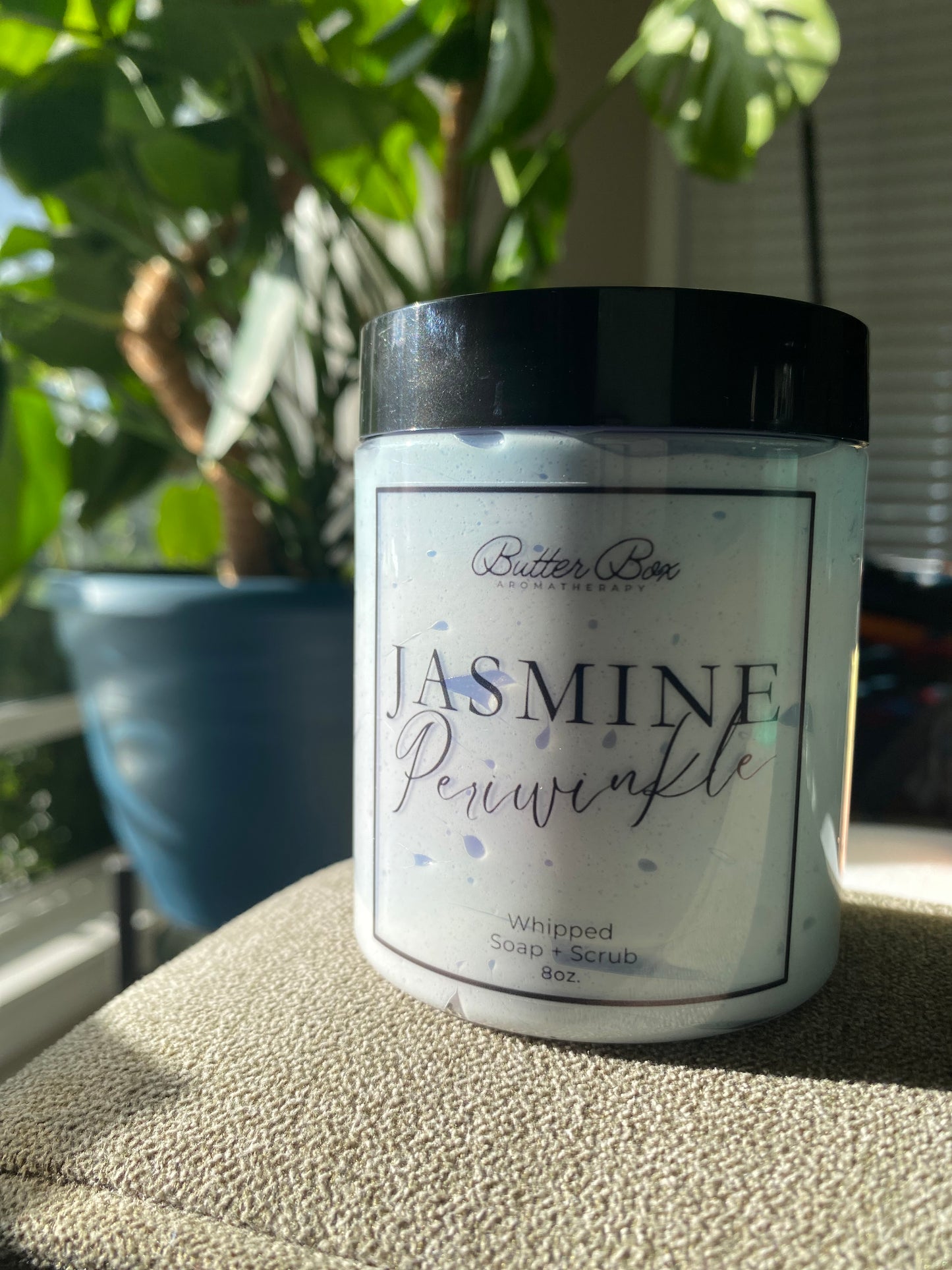 Jasmine Periwinkle